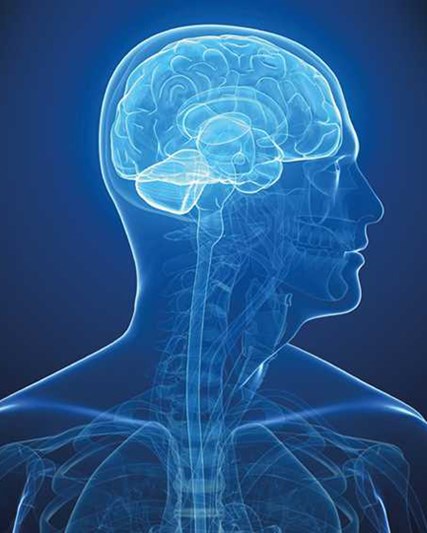 blue neuroscience brain