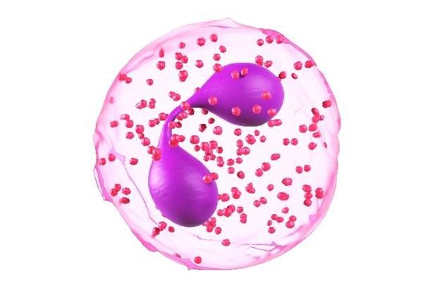 Eosinophils are a type of white blood cell