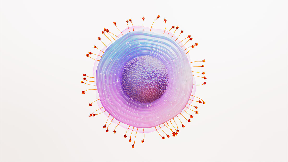 Representação científica do vírus do Herpes Zoster, com a sua estrutura visível