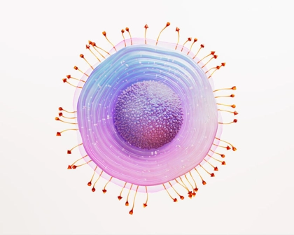 Representação científica do vírus do Herpes Zoster, com a sua estrutura visível