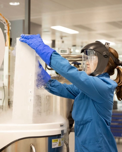 Produtos Estabelecidos