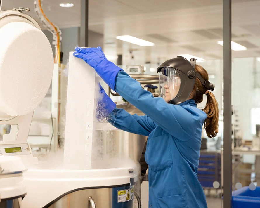 Produtos Estabelecidos