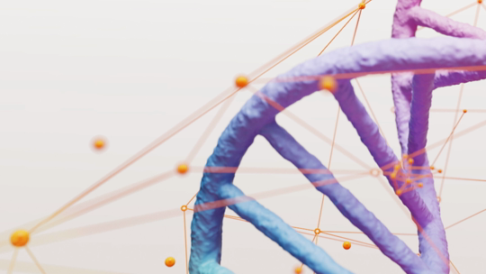 Produtos Estabelecidos