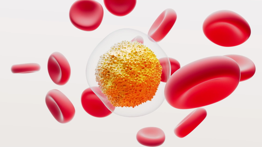 Procedimentos da GSK