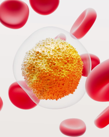 Procedimentos da GSK