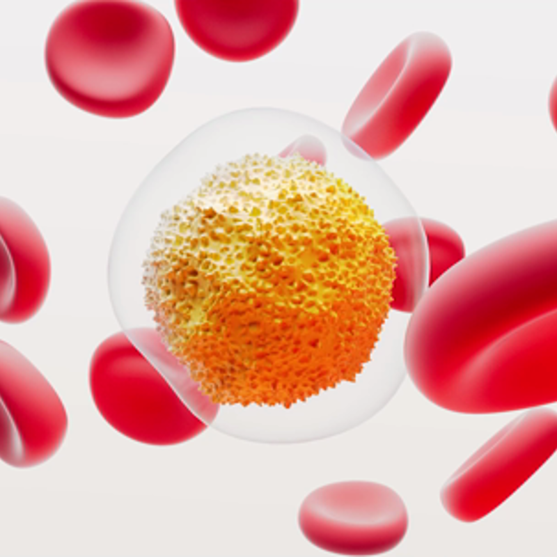 Procedimentos da GSK