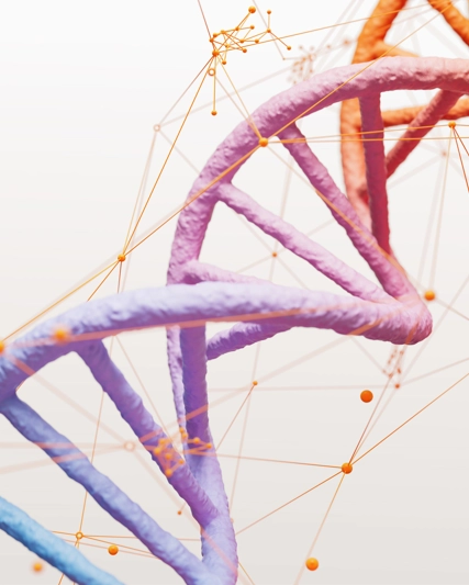 Áreas Terapêuticas