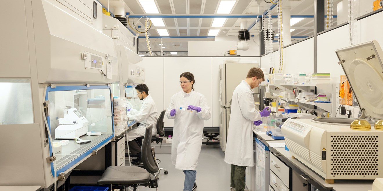 Profissionais experientes e talentosos