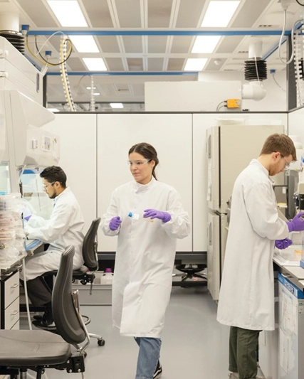 Profissionais experientes e talentosos