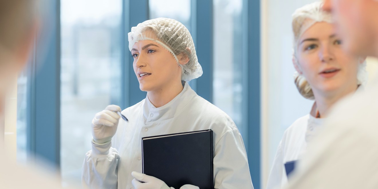 Profissionais experientes e talentosos