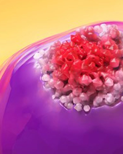 GSK Portugal